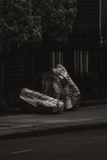 Insider tips to avoid delays in Rotherhithe rubbish jobs